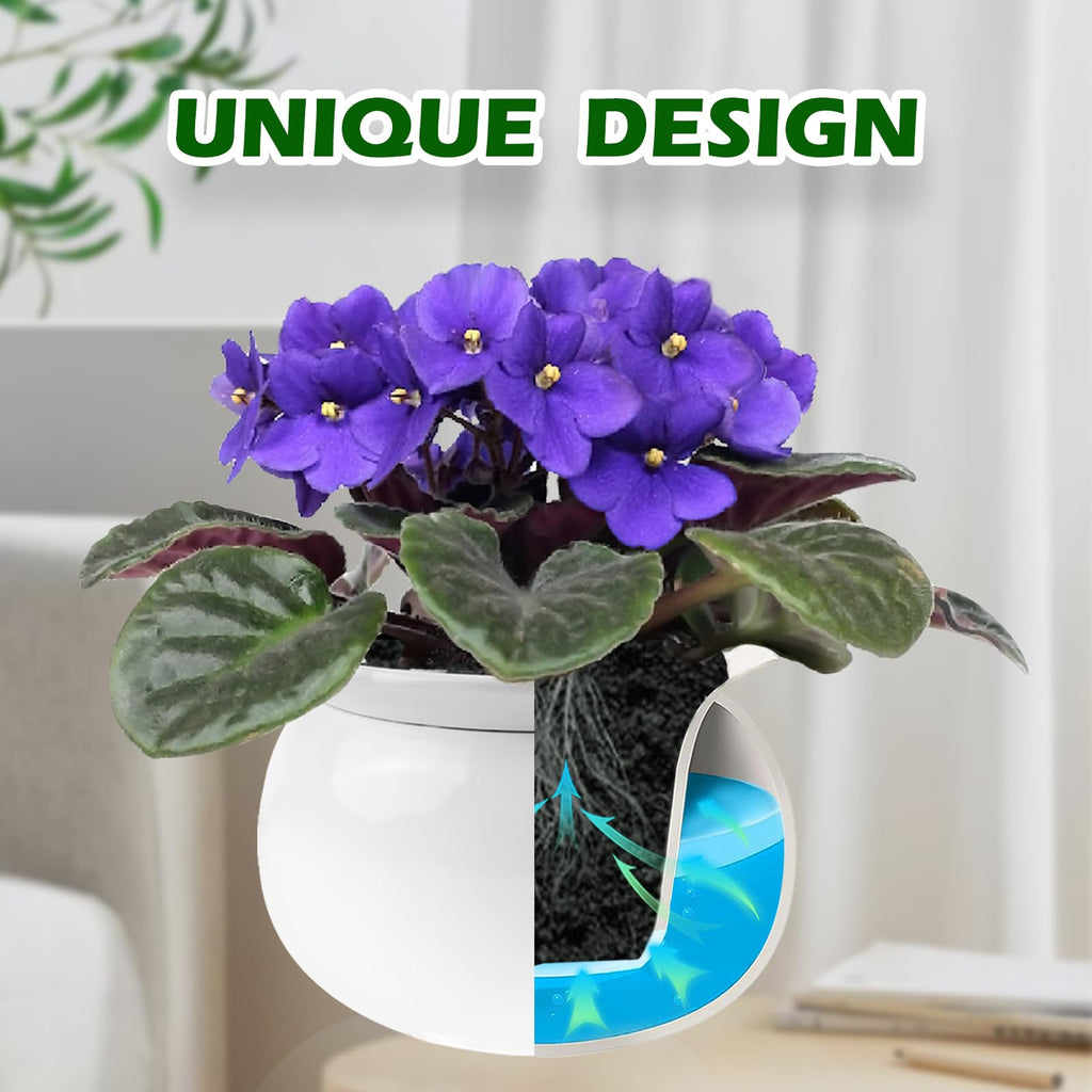 6 Inch Self Watering Ceramic African Violet Pot Flower Pot Indoor