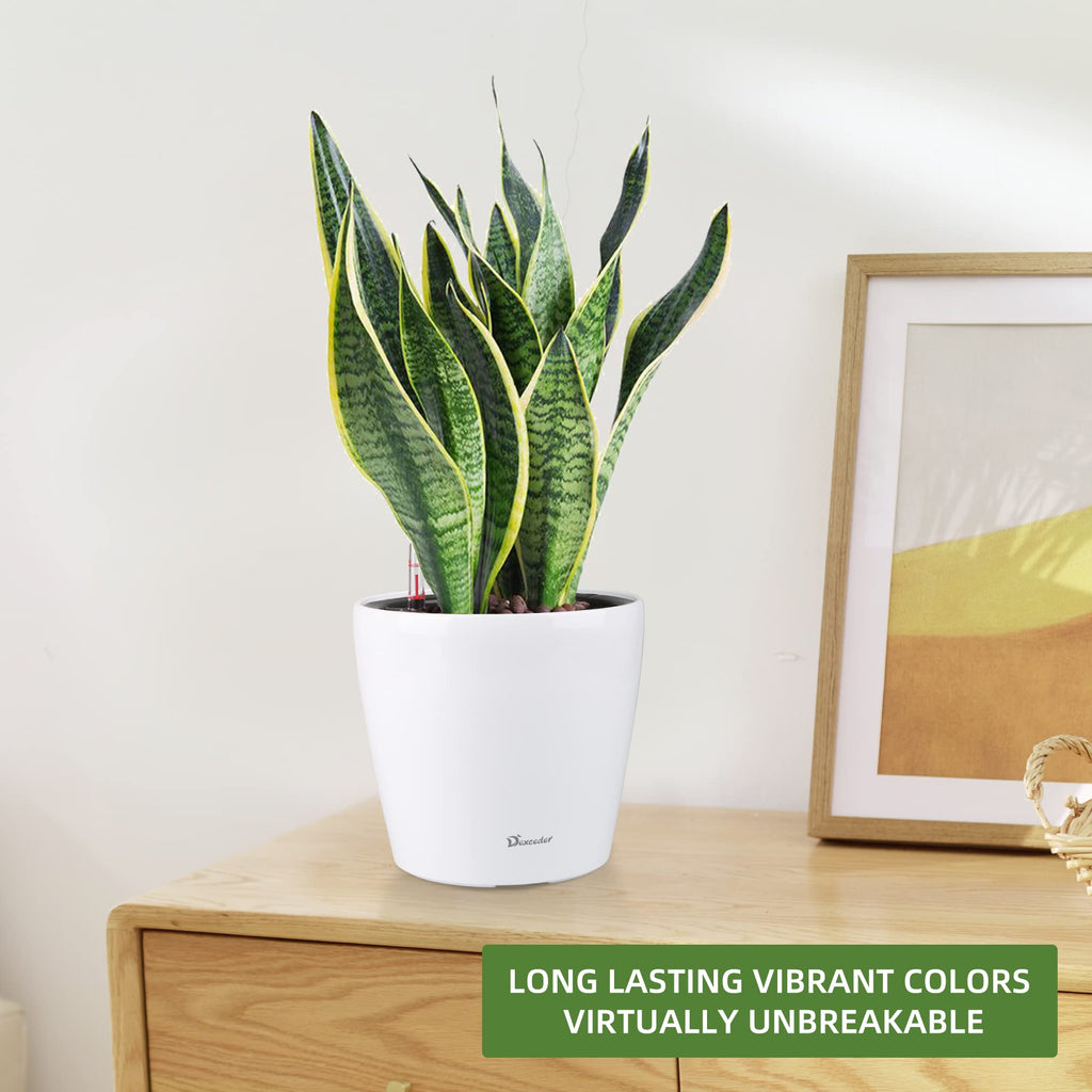 9x8 Self Watering Planter (White High Gloss)