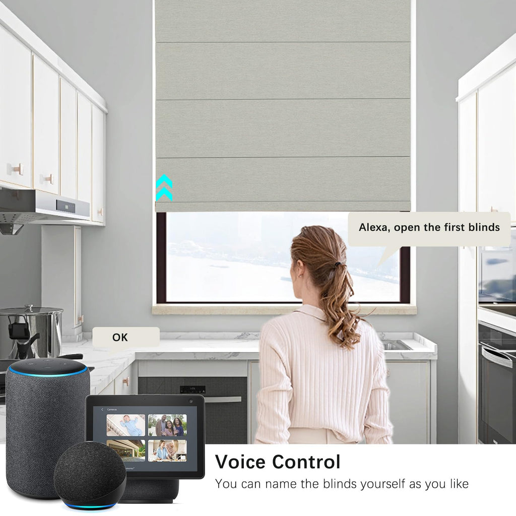 Smart Motorized Roman Shades Blackout Blinds Remote Control Automatic for Indoor Windows Door Custom Black Out Room