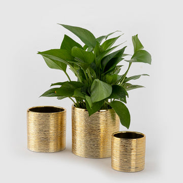 Indoor Plant Pot Flower Holder Ceramic Houseplant Pots Gold Shinny (Opening Size 4.1+3.5+2.6 inch) with Hole (Not