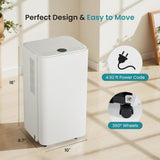 30Pints Dehumidifier with Drain Hose, 2,000 Sq.Ft Dehumidifier for Basement, 0.53 Gallon Tank, Low 38dB