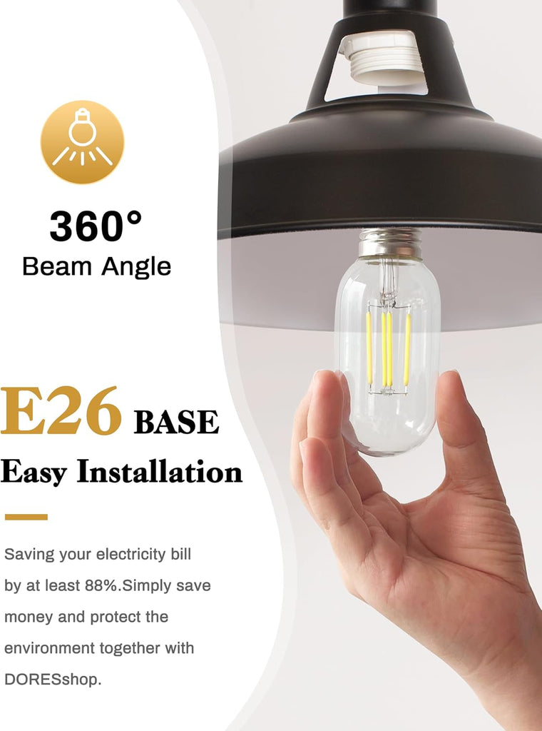 LED Edison Bulbs 4 Pack,4W Antique LED Filament Bulbs,Daylight