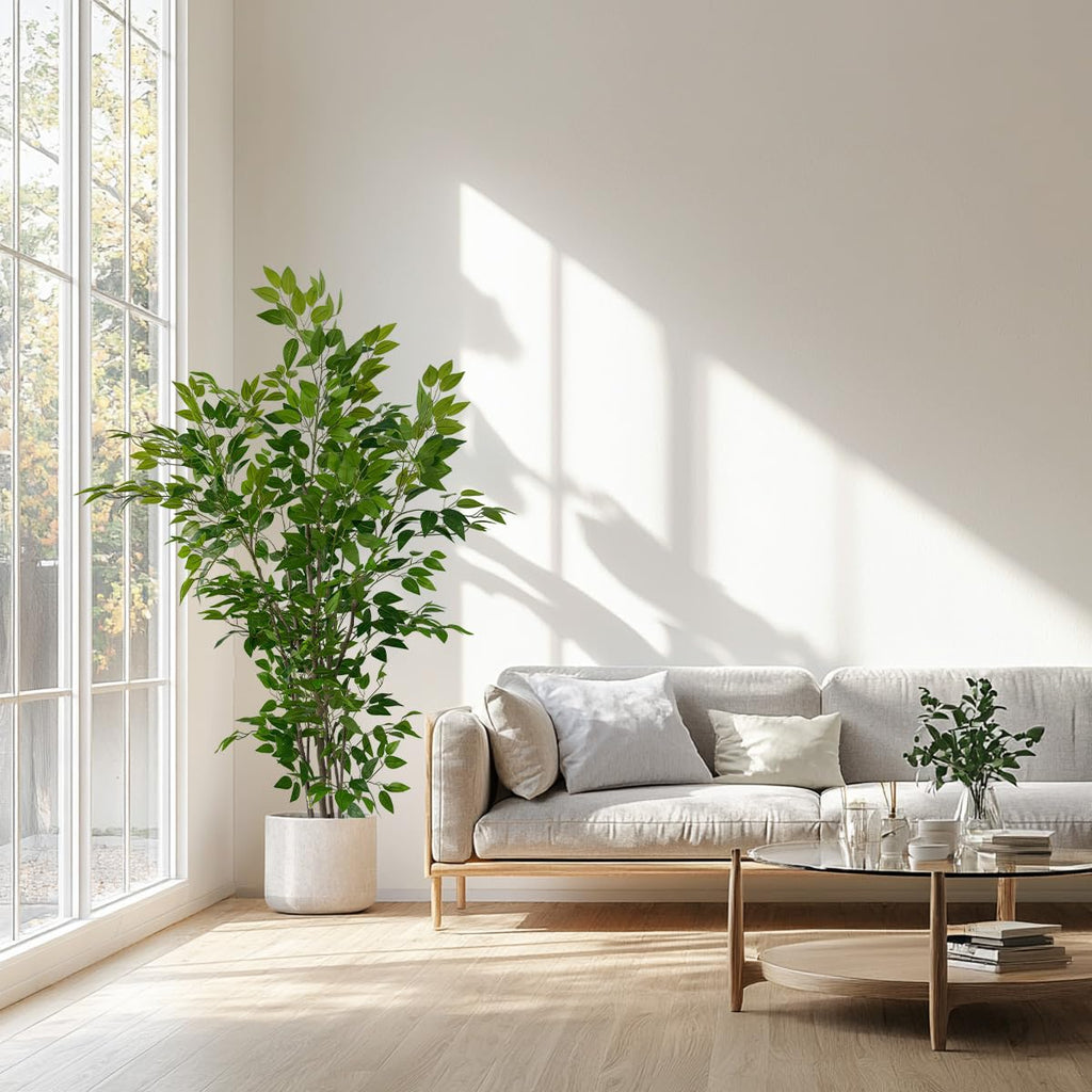 6ft Artificial Ficus Tree with White Plastic Planter