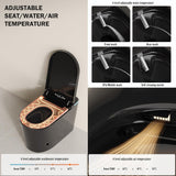 Black Smart Tankless One-Piece Toilet with Built-In Bidet, Auto Open and Close Lid, Warm Water, Warm Air Dryer, Self-Cleaning Heated Seat, Remote Control