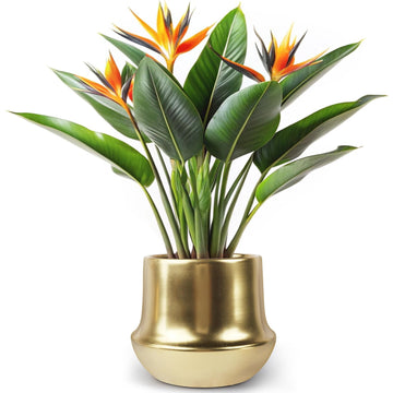 Gold Planter Pot Indoor Ceramic Flower Pots Modern Decorative Large Plant Pot 7.1 inch Gold Brass Planter for All