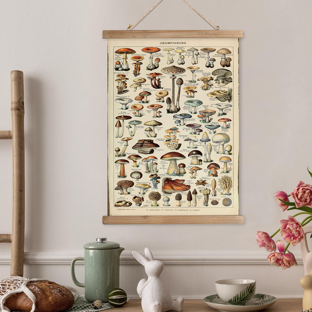 Vintage Mushroom Poster with Wooden Frame - Classic Botanical Print with Variety of Fungi Species - Retro Style Wall