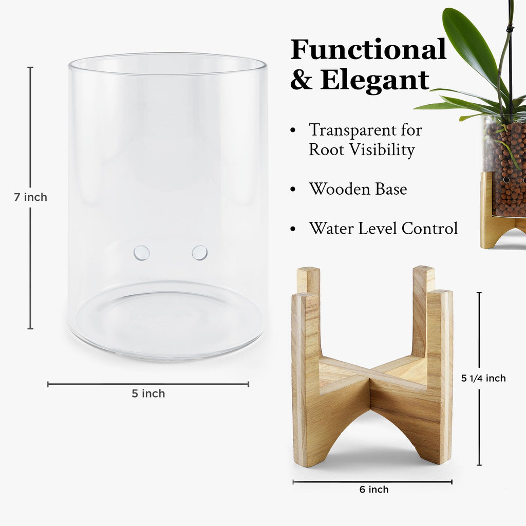 C6 Glass Propagation Vase, Wood Base - LECA Orchid Planter