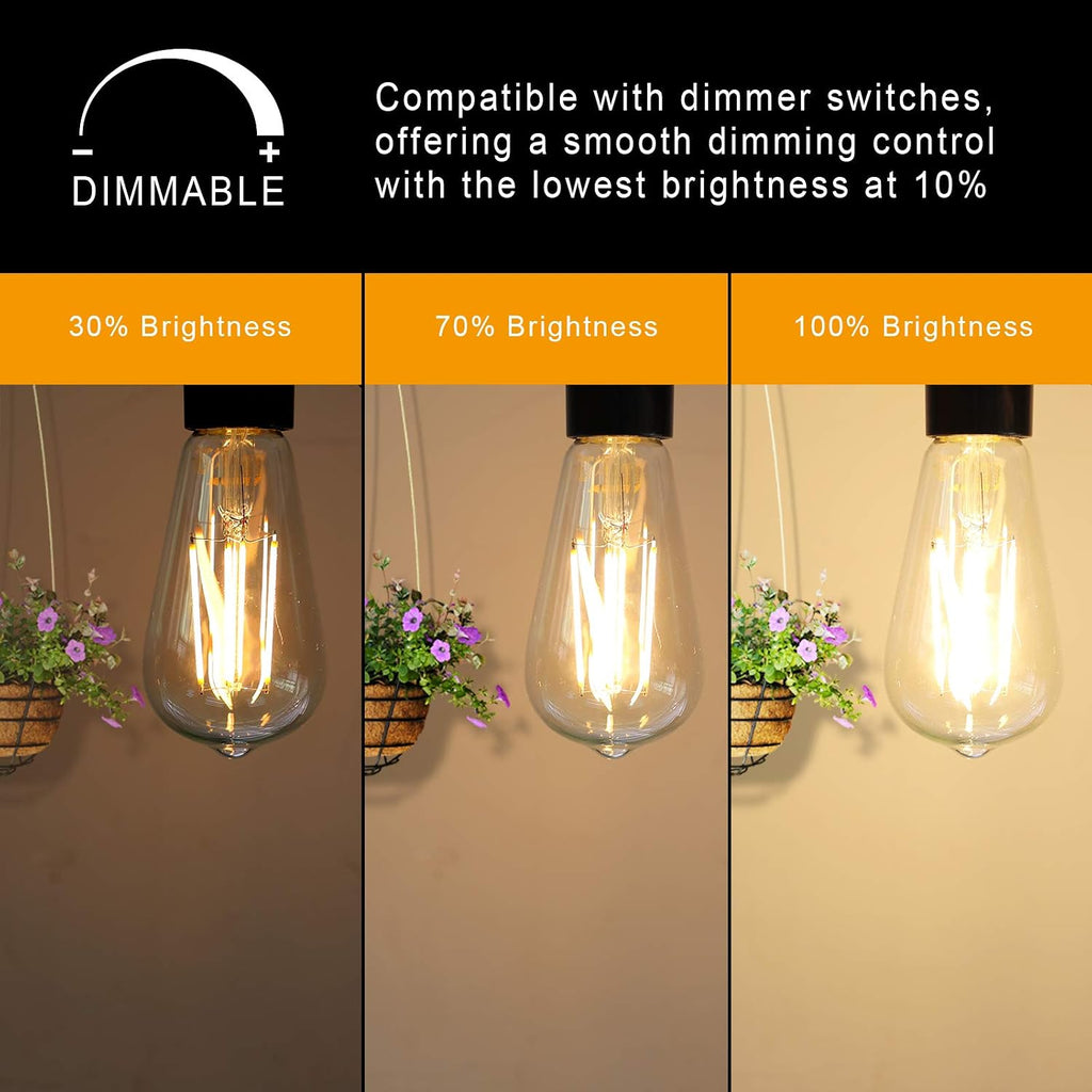 Dimmable Vintage LED Edison Bulbs, 6W, Equivalent 60W, 700lm, Warm White 2700K, 80+ CRI, ST58 Antique LED Filament