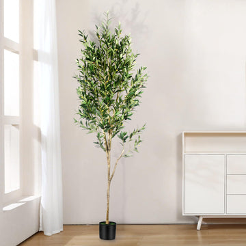 7FT Olive Tree Artificial Indoor - Tall Faux Olive Tree with Wood Trunk and Lifelike Fruits - Fake Plants in Pot