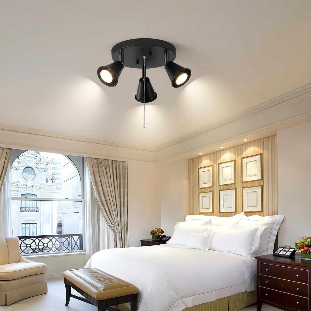 Industrial Directional Track Lighting with Pull Chain On/Off, Black Ceiling Spotlight, Morden Flush Mount