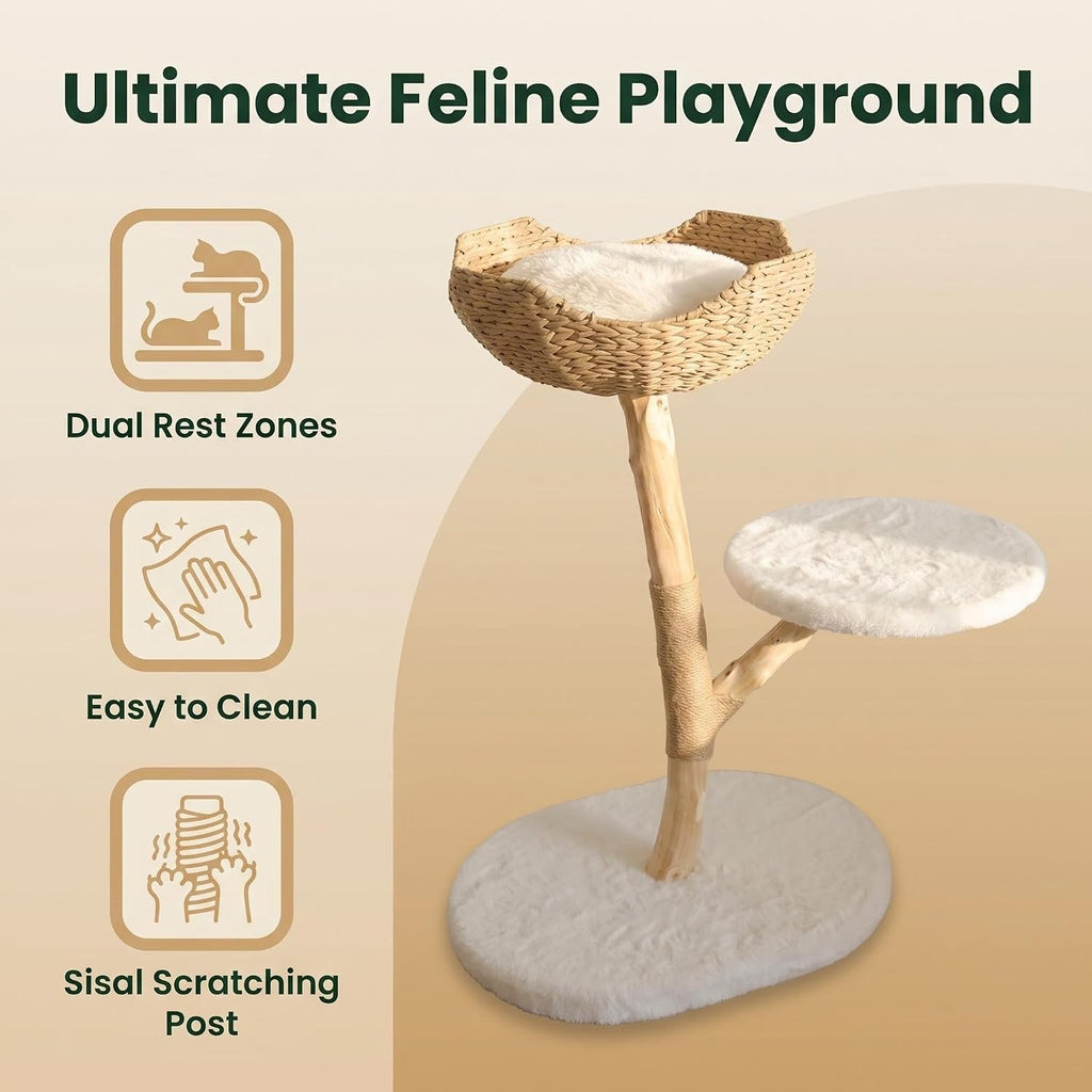 Modern Cat Tree, Natural Pear Wooden Cat Tower for Indoor Cats, Real Branch Luxury Cat Condo with Scratching Post &