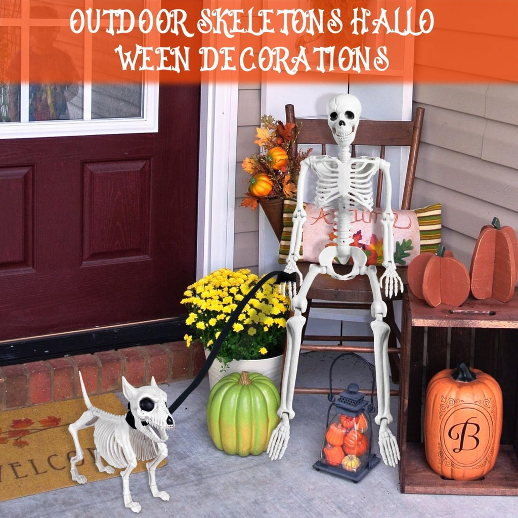 FT Human Skeleton Halloween Decor with Dog Skeleton, Posable Skeletons Decoration with Movable Joints, Full Body - Set of 2