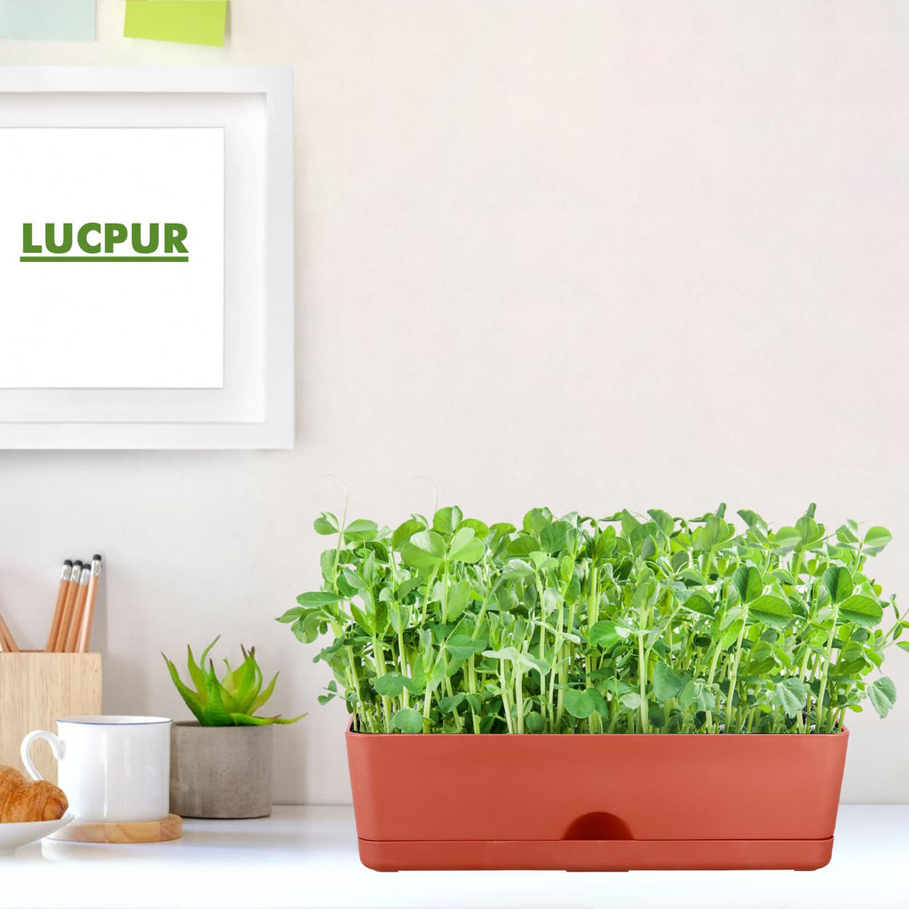 2-Pack Window Boxes Planters 16 Inch Rectangle Plant Box Rectangular Plant Pots for Outdoor and Indoor Plants Plastic
