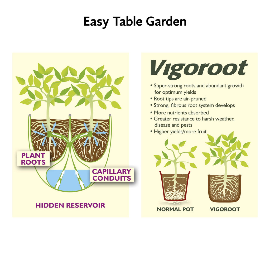 Haxnicks Vigoroot EasyTable Garden with Cover, Self Watering, Outdoor Greenhouse Protects Your Herb Garden and