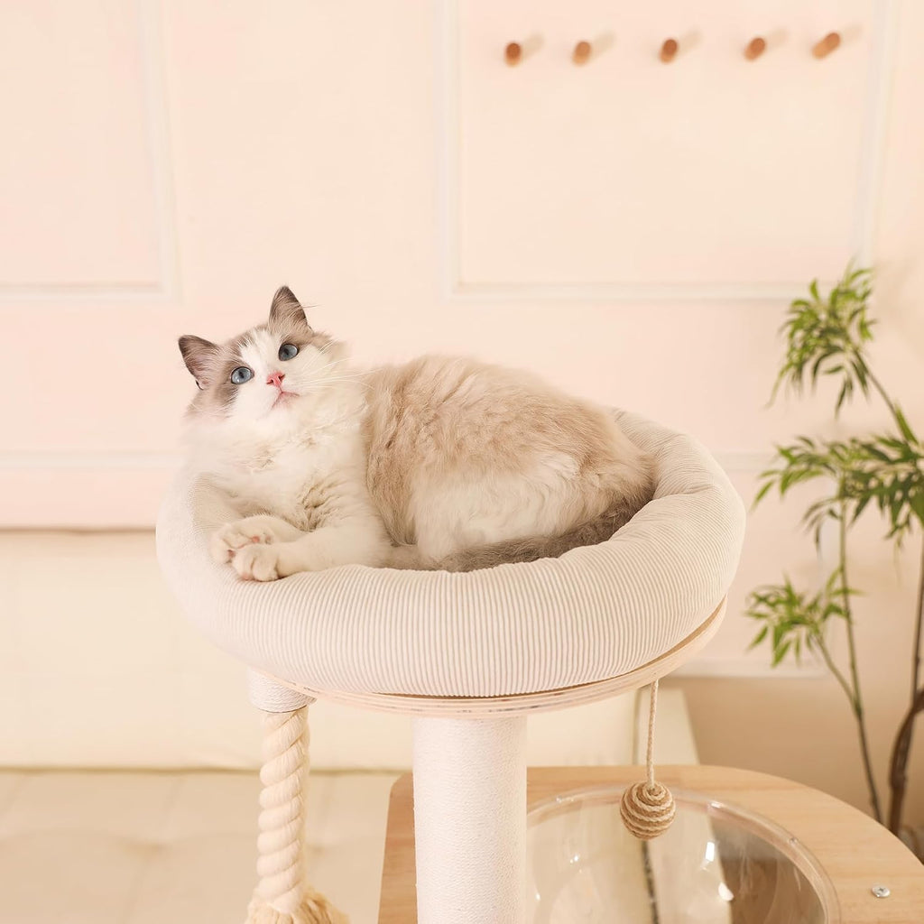 59" Modern Cat Tree Multi-Level Large Cat Tower Heavy Duty Wooden Cat Tree with Hammock, Cotton Scratching Post