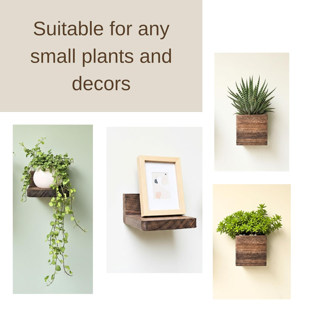 LaLaGreen Wood Planter Box for Indoor Plants (6 Pack) Hanging Wall Planters