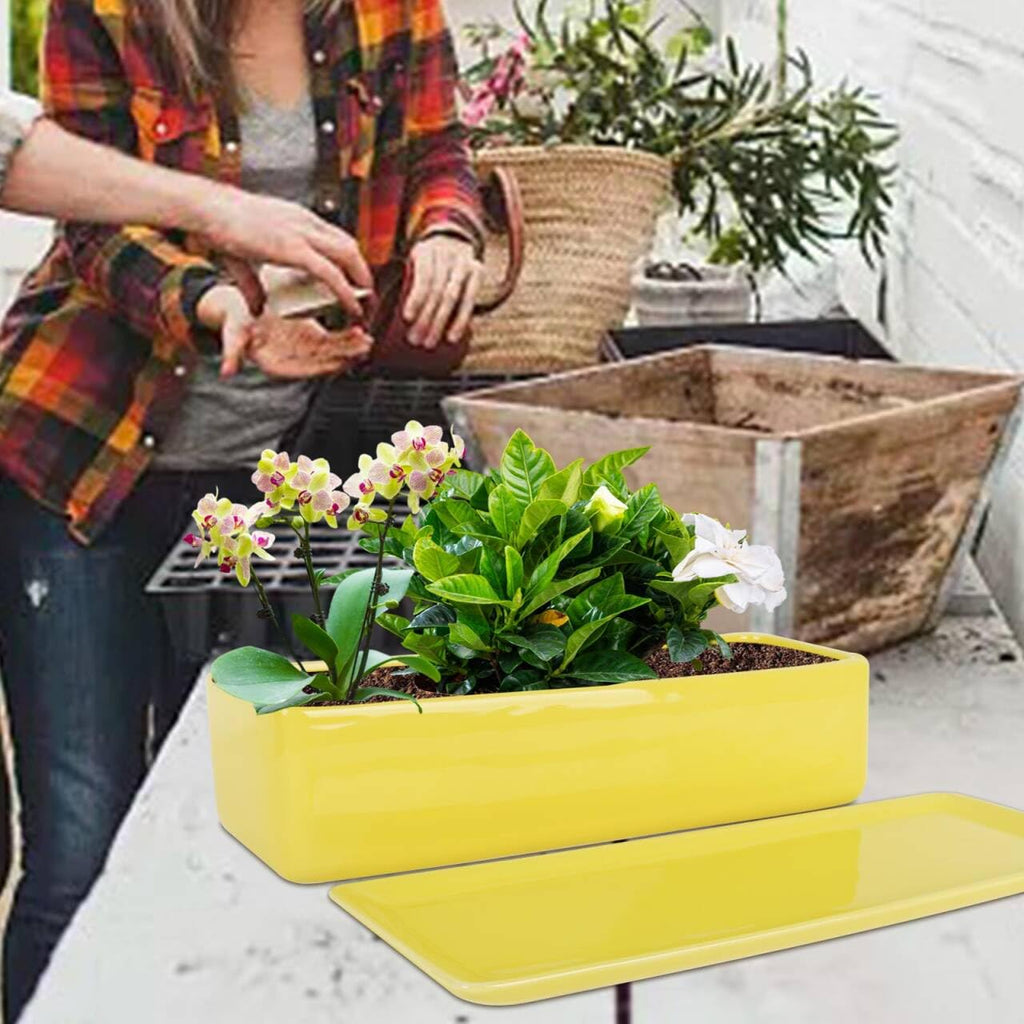 14 Inch Rectangular Modern Minimalist Ceramic Succulent Planter Pot - Window Box with Saucer, Office Desktop Potted