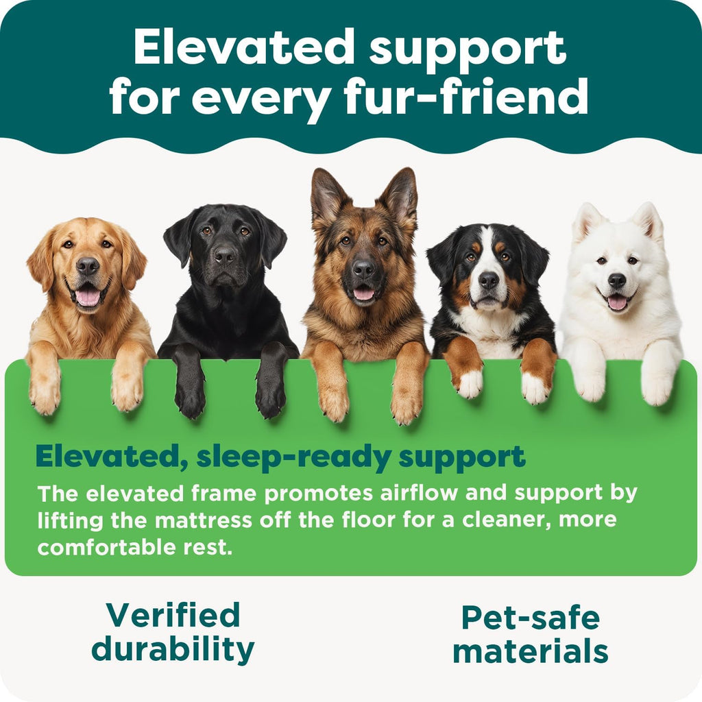 Steady Paws Multi-Step Pet Stairs for High Beds & Sofas - Cream, 3-Step