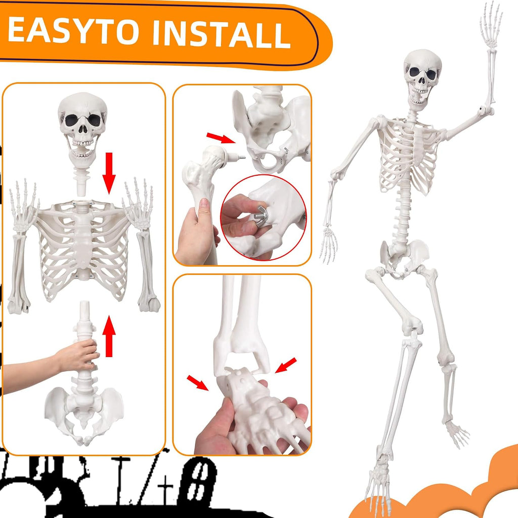 5.9Ft/180cm Life Size Giant Skeleton Poseable Plastic Skeleton for Halloween Decor