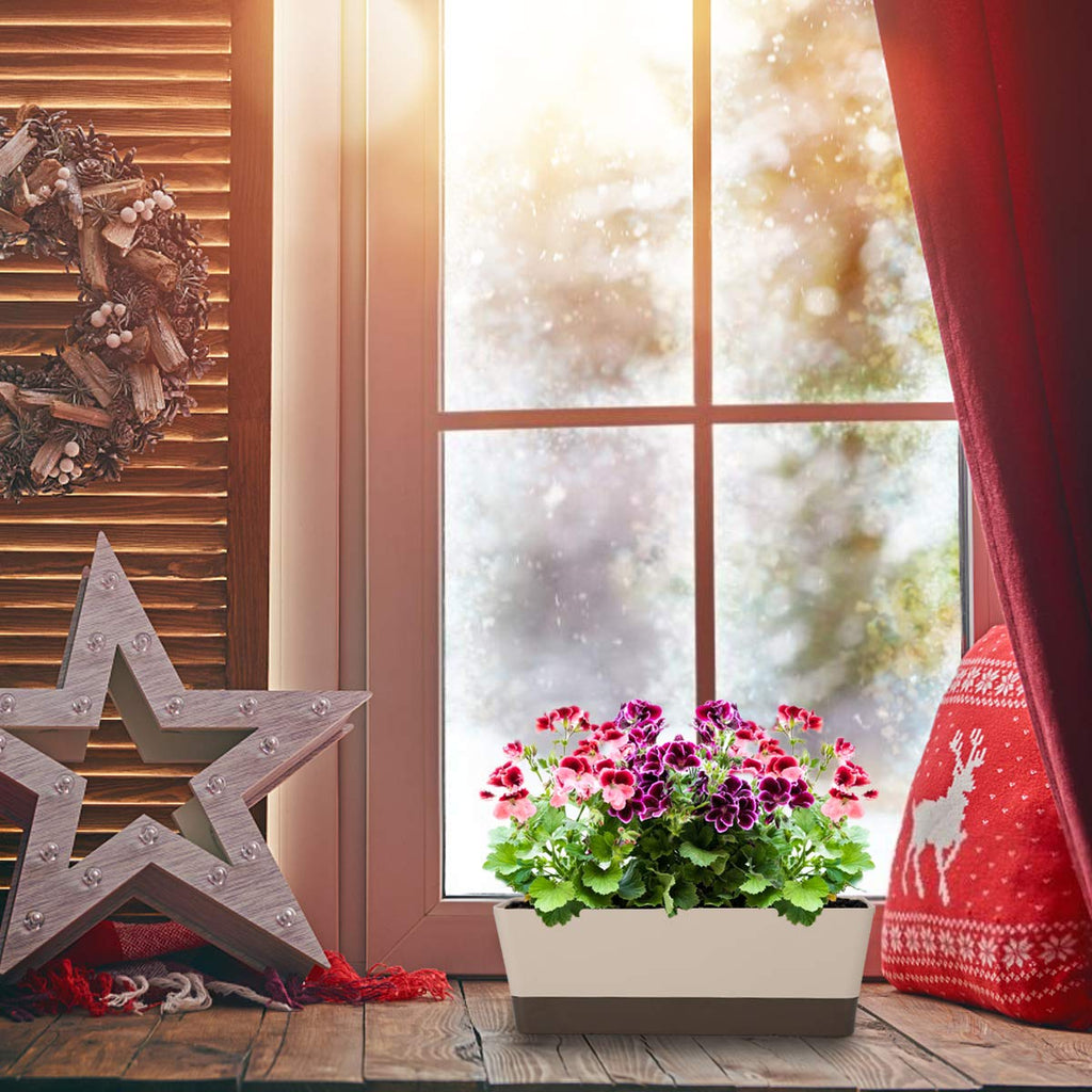 Window Boxes, 3 Pack 12x3.8 Inch Mixed Color Rectangle Herb Planters with Tray, Indoor Succulent Cactus Plastic