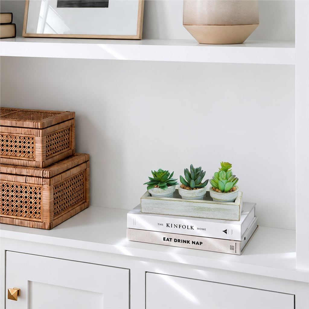 3 Pack Mini Artificial Succulent Plants with Wooden Tray