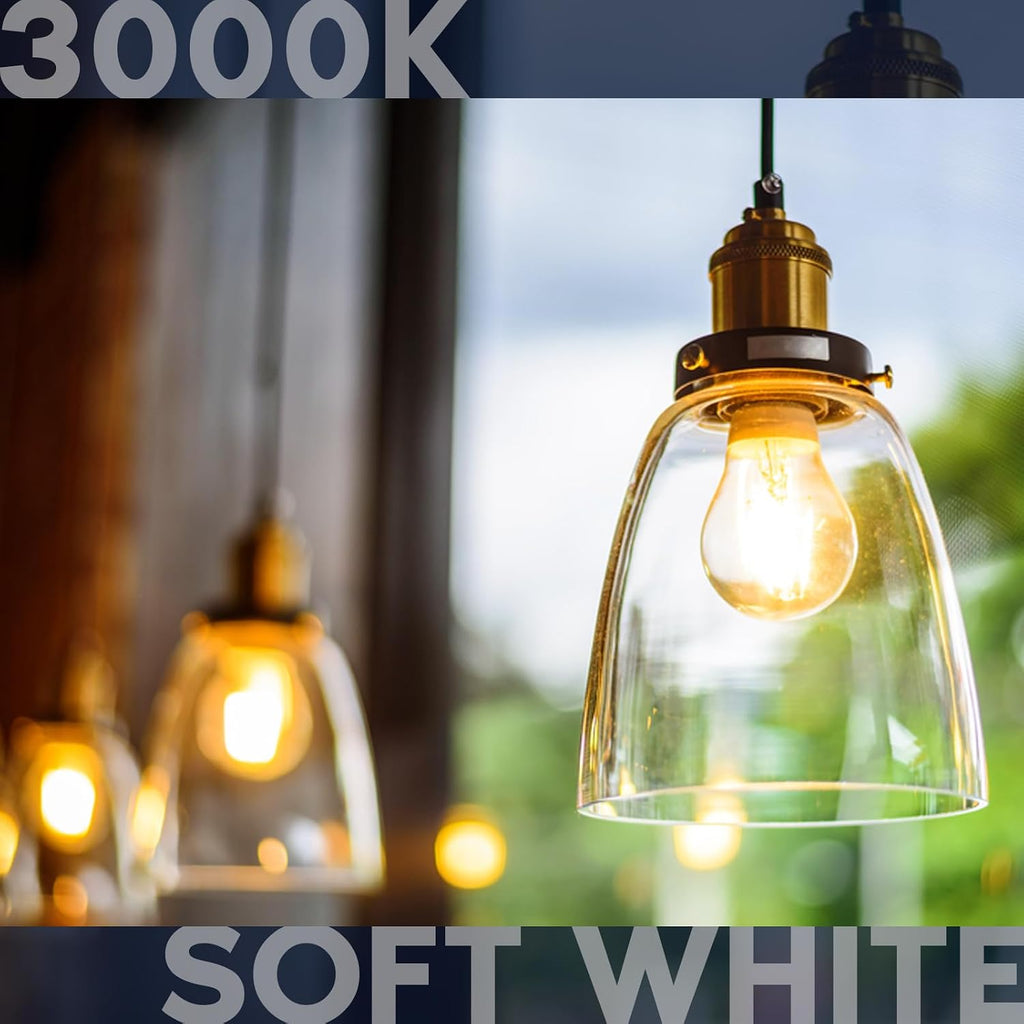 Vintage A19 LED Light Bulbs 60W Equivalent, 3000K Soft White Dimmable, 800 Lumens, Standard LED Edison Bulb 8W, UL