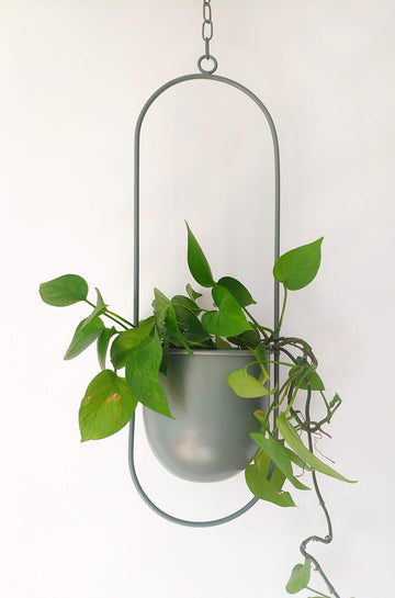 Boho Green Metal Plant Hanger, Metal Wall and Ceiling Hanging Planter, Modern Planter, Mid Century Flower Pot Plant