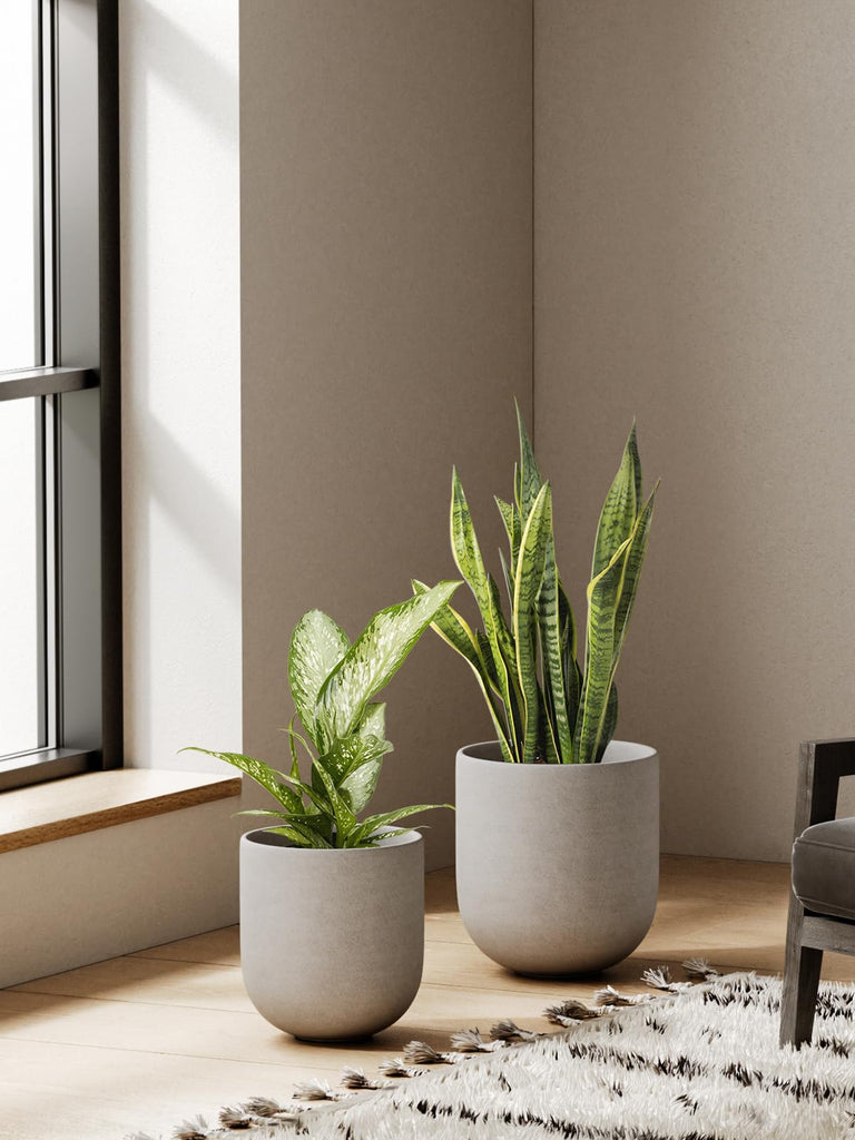 6, 8 & 10 Inch Ceramic Planter Set for Indoor Plants, Neutral Gray