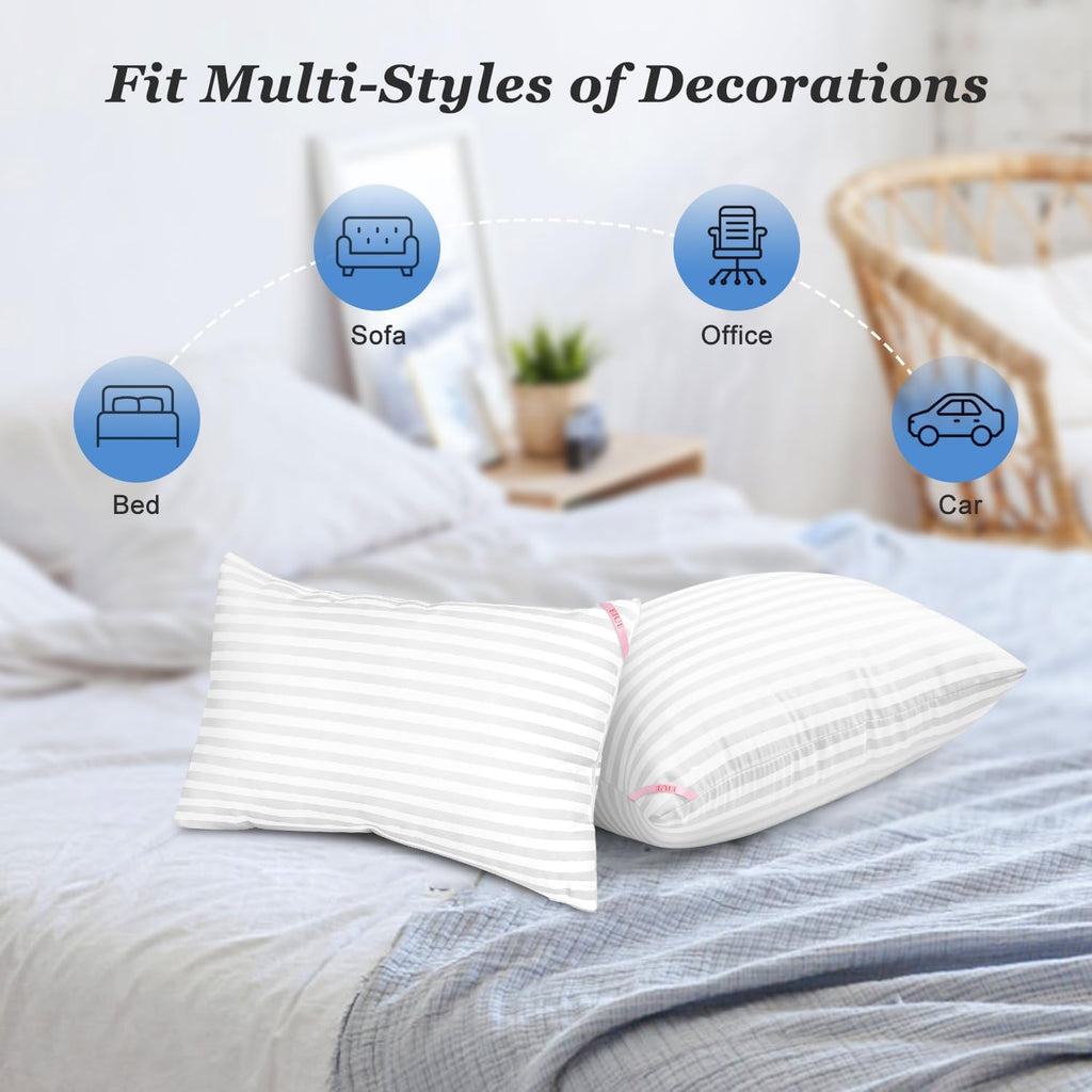 Throw Pillow Inserts, Machine Washable Pillows,Premium Polyester Fiber Fill for Sofa Bed & Decorative Cushions - Set of 2