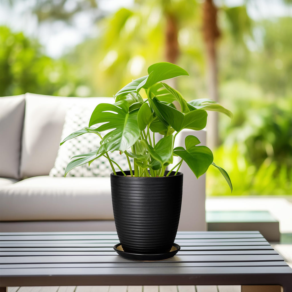Ceramic Plant Pot - 8 Inch Ceramic Planter for Indoor Plants Glazed Round Flower Pot with Drainage Hole and Saucer