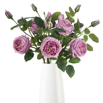 Real Touch Purple Austin Roses Peonies Artificial 4 Bouquets Latex Fake Peonies with Long Stem Realistic Faux Peonies