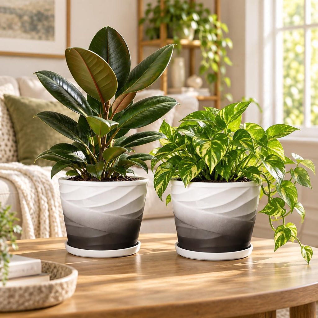 Ceramic Plant Pots, 6 Inch, Set of 2