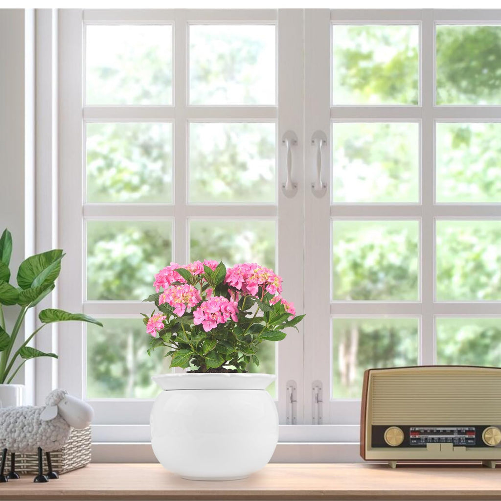 6 Inch Self Watering Ceramic African Violet Pot Flower Pot Indoor
