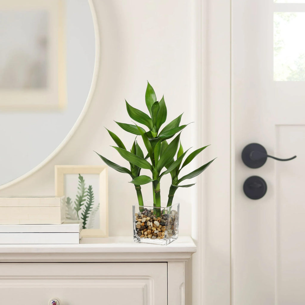 Artificial Lucky Bamboo Plant 17.3 Fake Plant in Rectangular Glass Pot for Centerpiece Table Decorations Farmhouse