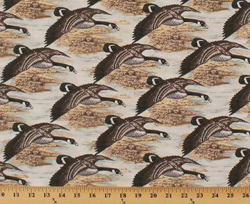 Canadian Geese Canada Goose Hunting Birds Waterfowl in Flight Nature Animals Wildlife Outdoors Landscape Scenic Pond