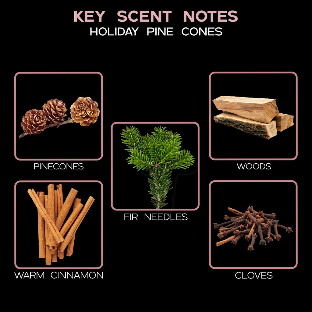 Reed Diffuser Set, Holiday Pine Cones Scented Oil Diffuser with Sticks, Home Fragrance Accessories Shelf Decor, Aroma
