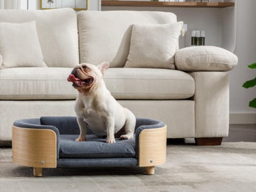 Modern Elevated Dog Bed with Wood Legs, Velvet Cushion Pet Sofa, Scandinavian Style Luxury Cat Dog Bed, Washable
