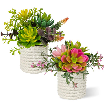 Set of 2 Fake Succulents Plants Artificial Small Succulent Plants Potted Decor Indoor Table Living Room Bedroom