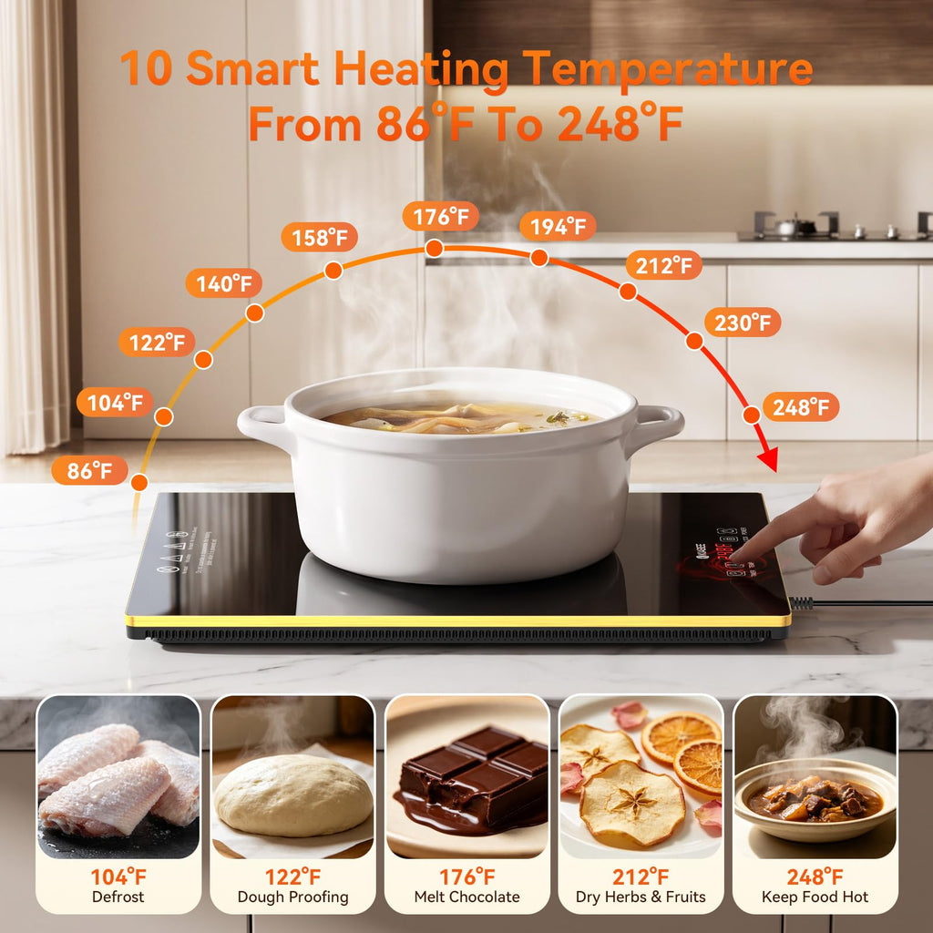 Commercial Electric Warming Tray for Buffet - Independent Temp 6 in 1 Black