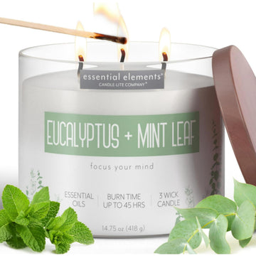 Essential Elements Scented Candles, Eucalyptus & Mint Leaf, 14.75 oz Jar, Proudly Poured in The USA, Aromatherapy