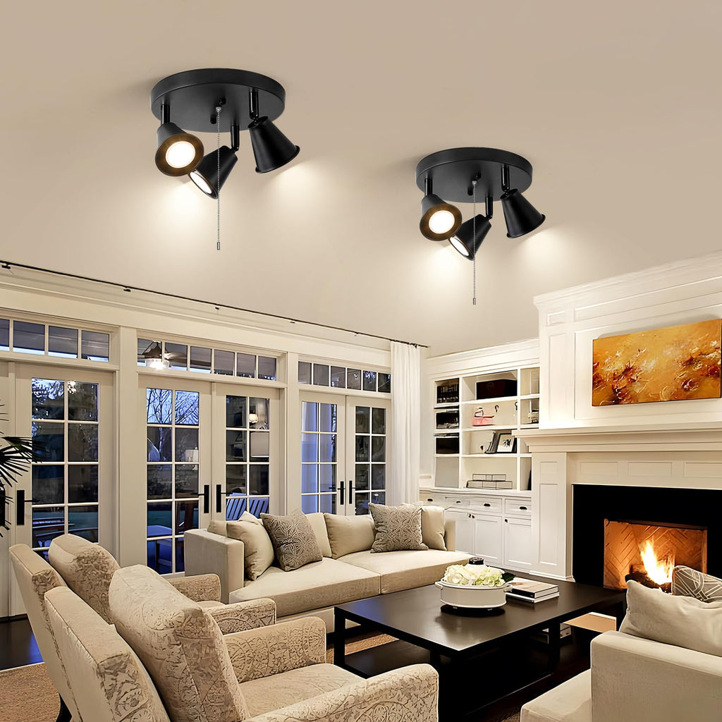 Industrial Directional Track Lighting with Pull Chain On/Off, Black Ceiling Spotlight, Morden Flush Mount