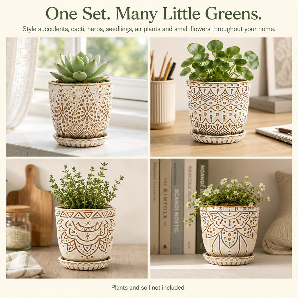 Ceramic Succulent Pots, 4 Inch Small Plant Pots with Drainage