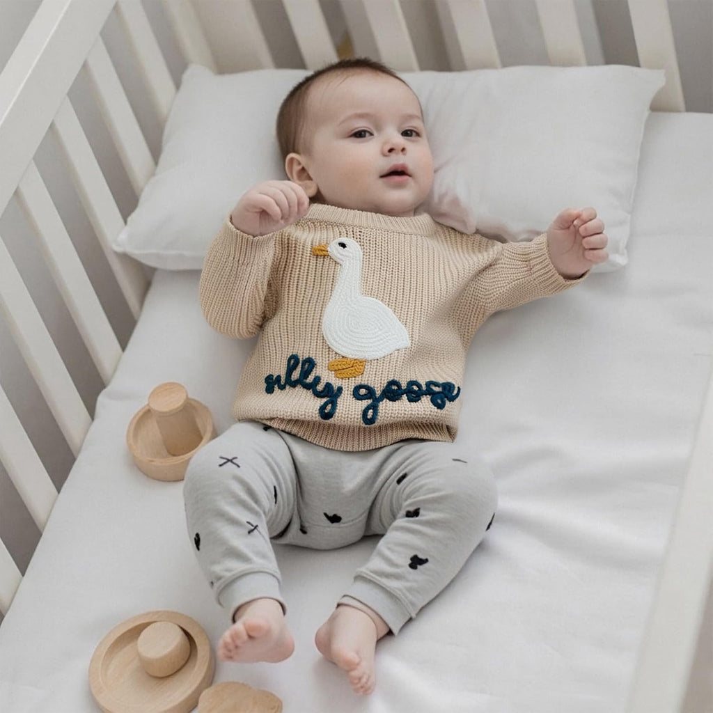 Toddler Baby Boy Girl Knit Sweater Silly Goose Embroidery Long Sleeve Knitted Sweatshirt Warm Fall Winter Clothes