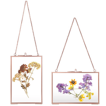 Set of 2 Rose Golden Brass Picture Frames, Floater Frame, Wall Hanging, 4x6 inches, Modern Art Design, Double Glass