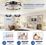 13" Ceiling Fans with Lights - Flush Mount Low Profile Ceiling Fan Lights with Remote/APP, 6 Speeds 3CCT, with 7 ABS Reversible Blades, Modern Bladeless Fan Light for Indoor Bedroom A101-B0DBZKCNXL