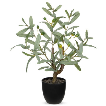 Small Faux Olive Tree with Black Pot for Tabletop