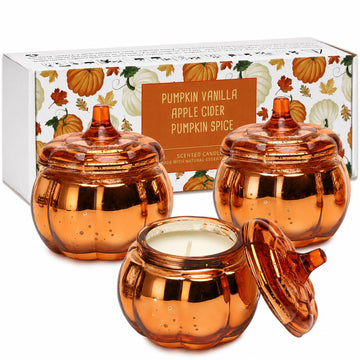 Pumpkin Shaped Candles 3 Pack, Fall Pumpkin Spice Scented Candles 15oz