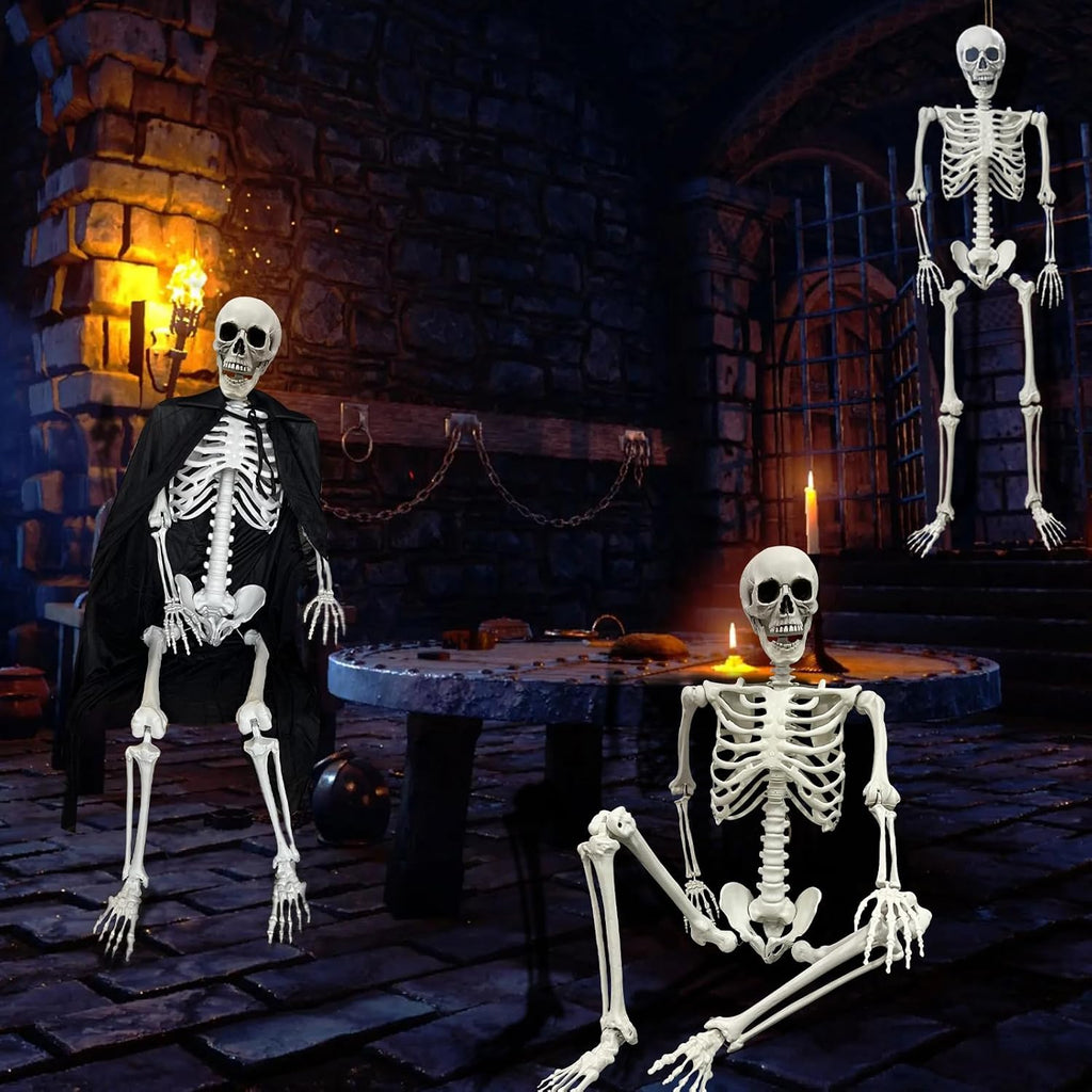 5.4Ft Halloween Skeleton Life Size Skeleton with Posable Joints