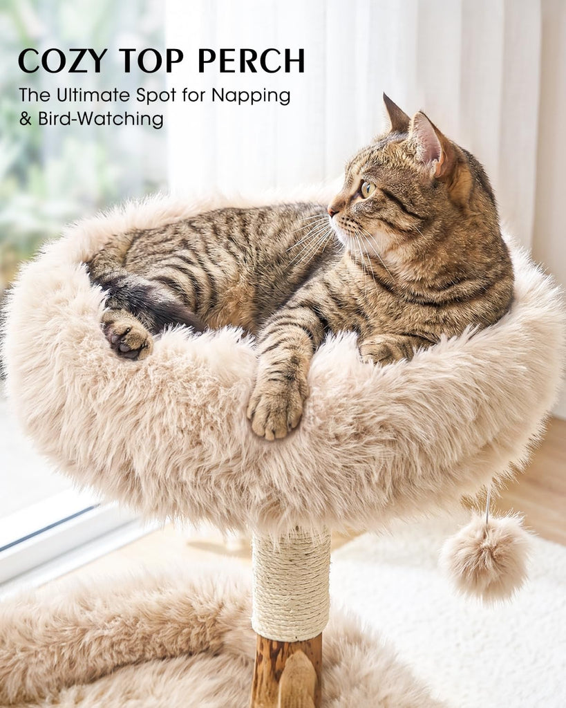 Solid Wood Cat Tree, Boho Modern Cat Tree Tower with Real Branch