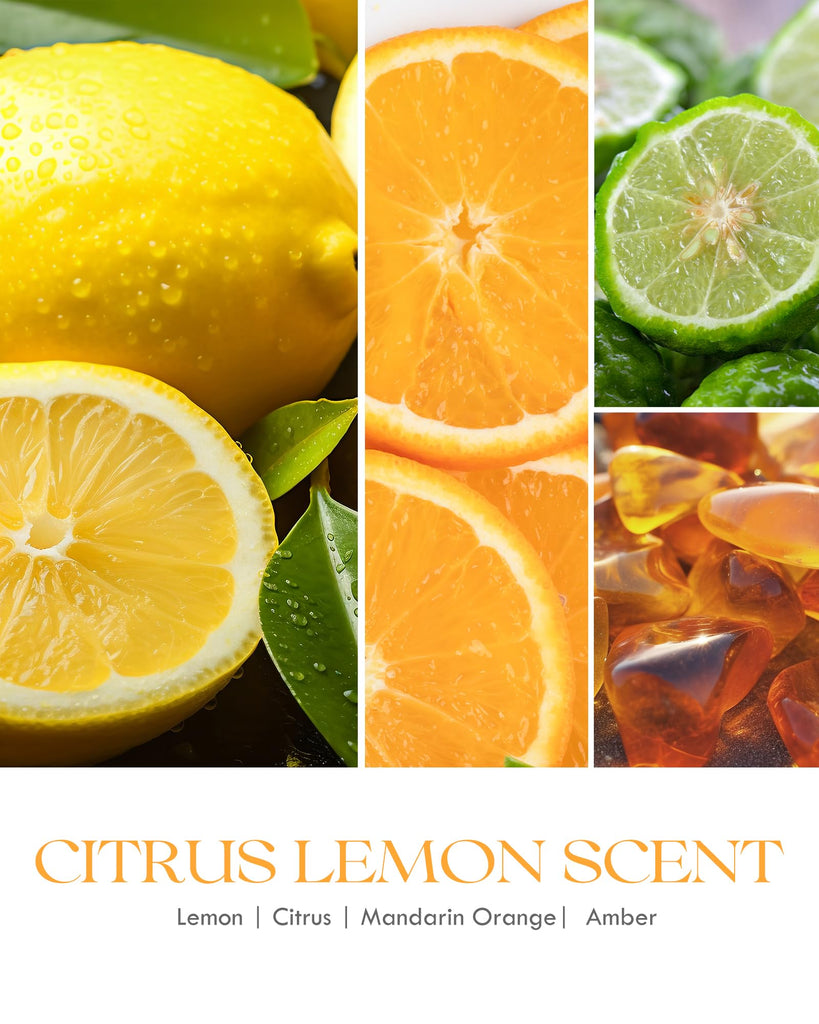 Lemon 2 Pack Odor Eliminating Candle - 18oz Soy Candle